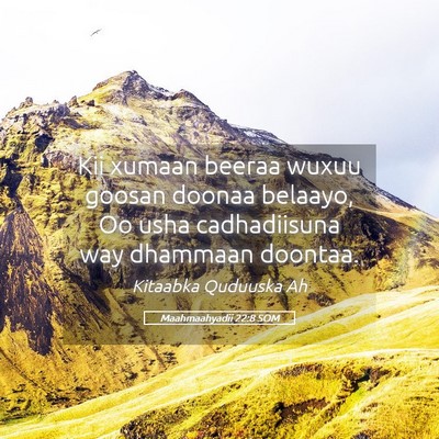Picture 05 - Maahmaahyadii 22:8 SOM - Kii xumaan beeraa wuxuu goosan doonaa belaayo, Oo - Bible Verse Picture