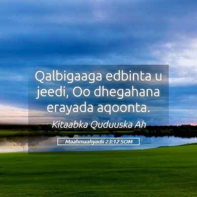 Picture 05 - Maahmaahyadii 23:12 SOM - Qalbigaaga edbinta u jeedi, Oo dhegahana erayada - Bible Verse Picture