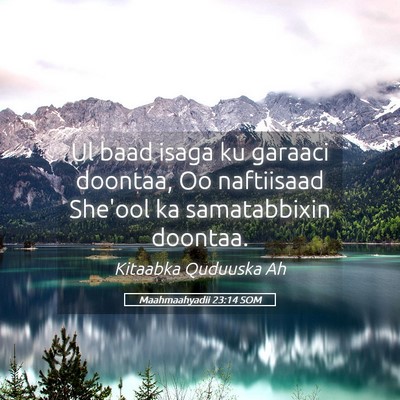 Picture 05 - Maahmaahyadii 23:14 SOM - Ul baad isaga ku garaaci doontaa, Oo naftiisaad - Bible Verse Picture