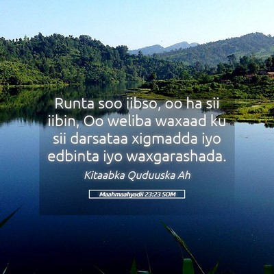 Picture 05 - Maahmaahyadii 23:23 SOM - Runta soo iibso, oo ha sii iibin, Oo weliba - Bible Verse Picture