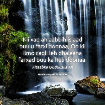 Picture 05 - Maahmaahyadii 23:24 SOM - Kii xaq ah aabbihiis aad buu u farxi doonaa, Oo - Bible Verse Picture