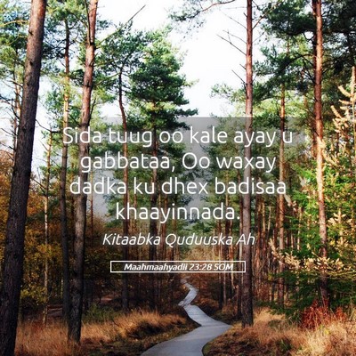 Picture 05 - Maahmaahyadii 23:28 SOM - Sida tuug oo kale ayay u gabbataa, Oo waxay dadka - Bible Verse Picture