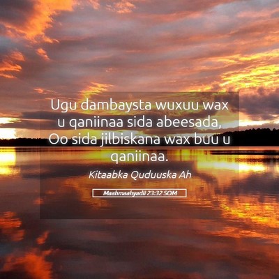 Picture 05 - Maahmaahyadii 23:32 SOM - Ugu dambaysta wuxuu wax u qaniinaa sida abeesada, - Bible Verse Picture