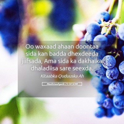 Picture 05 - Maahmaahyadii 23:34 SOM - Oo waxaad ahaan doontaa sida kan badda dhexdeeda - Bible Verse Picture