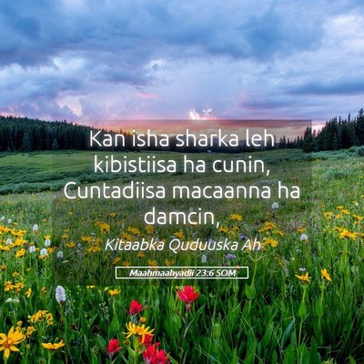 Picture 05 - Maahmaahyadii 23:6 SOM - Kan isha sharka leh kibistiisa ha cunin, - Bible Verse Picture