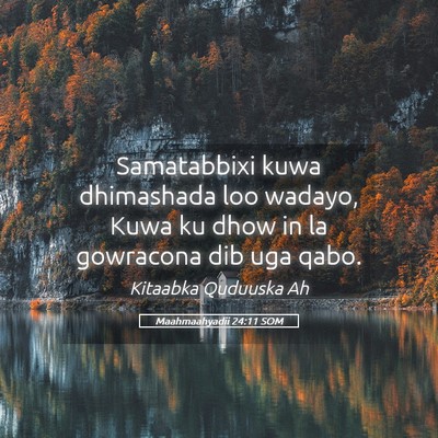 Picture 05 - Maahmaahyadii 24:11 SOM - Samatabbixi kuwa dhimashada loo wadayo, Kuwa ku - Bible Verse Picture