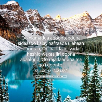 Picture 05 - Maahmaahyadii 24:14 SOM - Oo xigmadda aqoonteeduna sidaasoo kalay naftaada - Bible Verse Picture