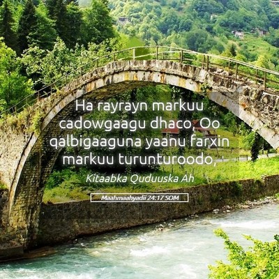 Picture 05 - Maahmaahyadii 24:17 SOM - Ha rayrayn markuu cadowgaagu dhaco, Oo - Bible Verse Picture
