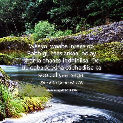 Picture 05 - Maahmaahyadii 24:18 SOM - Waayo, waaba intaas oo Rabbigu taas arkaa, oo ay - Bible Verse Picture