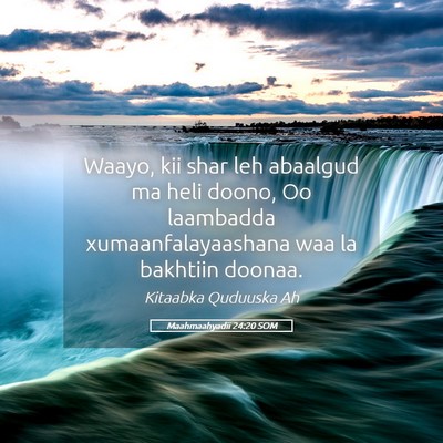 Picture 05 - Maahmaahyadii 24:20 SOM - Waayo, kii shar leh abaalgud ma heli doono, Oo - Bible Verse Picture
