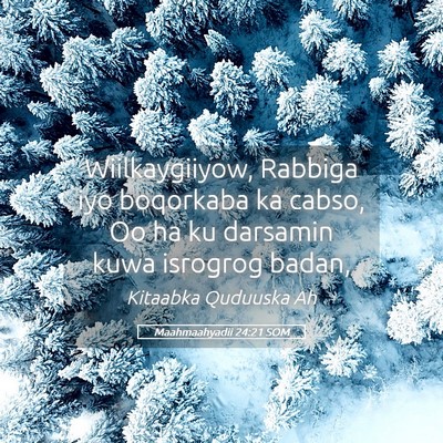 Picture 05 - Maahmaahyadii 24:21 SOM - Wiilkaygiiyow, Rabbiga iyo boqorkaba ka cabso, Oo - Bible Verse Picture
