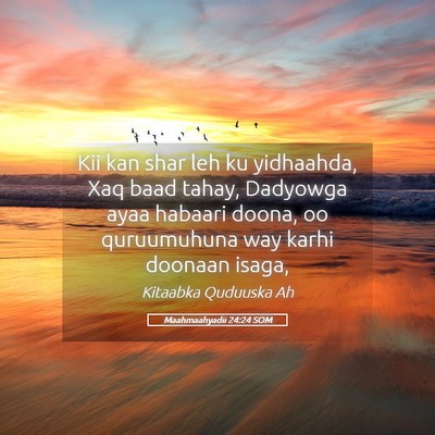Picture 05 - Maahmaahyadii 24:24 SOM - Kii kan shar leh ku yidhaahda, Xaq baad tahay, - Bible Verse Picture