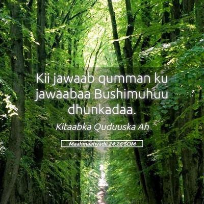 Picture 05 - Maahmaahyadii 24:26 SOM - Kii jawaab qumman ku jawaabaa Bushimuhuu - Bible Verse Picture