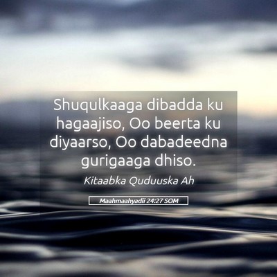 Picture 05 - Maahmaahyadii 24:27 SOM - Shuqulkaaga dibadda ku hagaajiso, Oo beerta ku - Bible Verse Picture