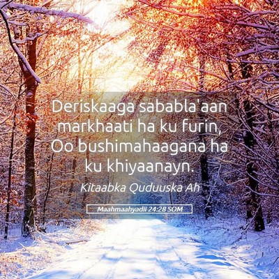 Picture 05 - Maahmaahyadii 24:28 SOM - Deriskaaga sababla'aan markhaati ha ku furin, Oo - Bible Verse Picture