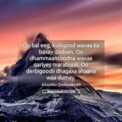 Picture 05 - Maahmaahyadii 24:31 SOM - Oo bal eeg, kulligood waxaa ka baxay qodxan, Oo - Bible Verse Picture