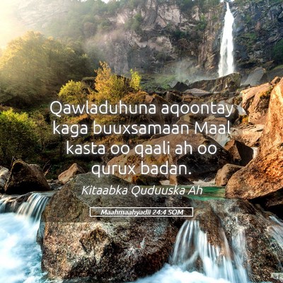 Picture 05 - Maahmaahyadii 24:4 SOM - Qawladuhuna aqoontay kaga buuxsamaan Maal kasta - Bible Verse Picture