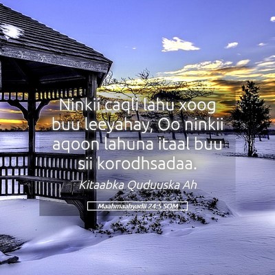Picture 05 - Maahmaahyadii 24:5 SOM - Ninkii caqli lahu xoog buu leeyahay, Oo ninkii - Bible Verse Picture