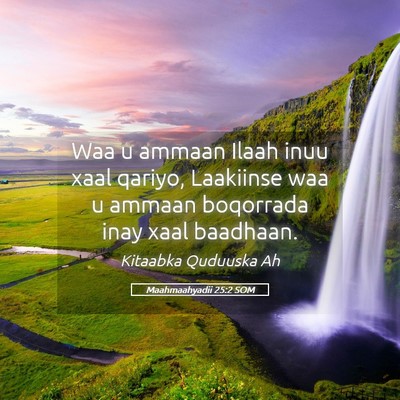 Picture 05 - Maahmaahyadii 25:2 SOM - Waa u ammaan Ilaah inuu xaal qariyo, Laakiinse - Bible Verse Picture