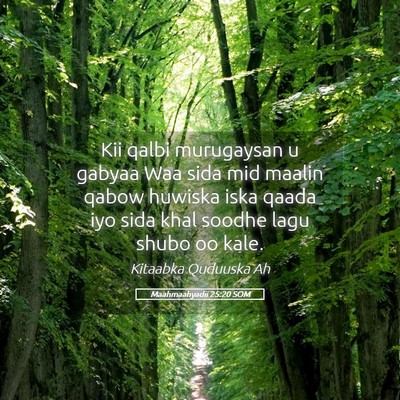Picture 05 - Maahmaahyadii 25:20 SOM - Kii qalbi murugaysan u gabyaa Waa sida mid maalin - Bible Verse Picture