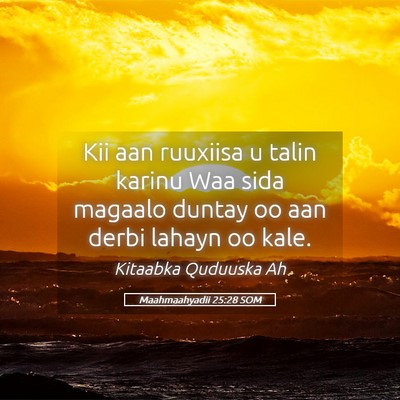 Picture 05 - Maahmaahyadii 25:28 SOM - Kii aan ruuxiisa u talin karinu Waa sida magaalo - Bible Verse Picture