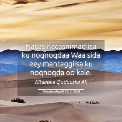 Picture 05 - Maahmaahyadii 26:11 SOM - Nacas nacasnimadiisa ku noqnoqdaa Waa sida eey - Bible Verse Picture