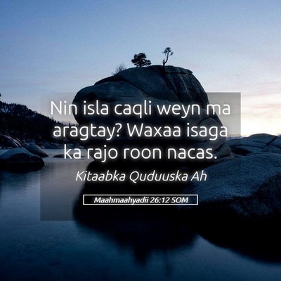 Picture 05 - Maahmaahyadii 26:12 SOM - Nin isla caqli weyn ma aragtay? Waxaa isaga ka - Bible Verse Picture