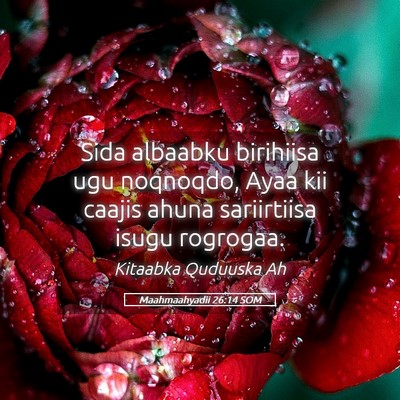 Picture 05 - Maahmaahyadii 26:14 SOM - Sida albaabku birihiisa ugu noqnoqdo, Ayaa kii - Bible Verse Picture
