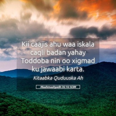 Picture 05 - Maahmaahyadii 26:16 SOM - Kii caajis ahu waa iskala caqli badan yahay - Bible Verse Picture