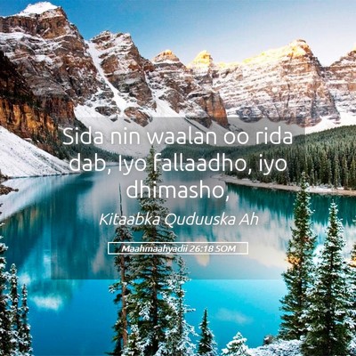 Picture 05 - Maahmaahyadii 26:18 SOM - Sida nin waalan oo rida dab, Iyo fallaadho, iyo - Bible Verse Picture