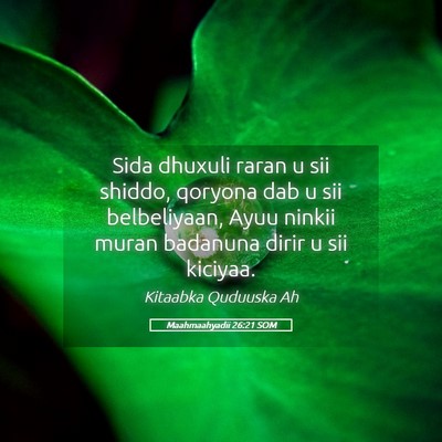 Picture 05 - Maahmaahyadii 26:21 SOM - Sida dhuxuli raran u sii shiddo, qoryona dab u - Bible Verse Picture
