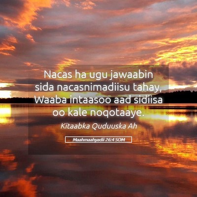 Picture 05 - Maahmaahyadii 26:4 SOM - Nacas ha ugu jawaabin sida nacasnimadiisu tahay, - Bible Verse Picture