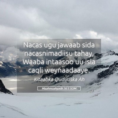 Picture 05 - Maahmaahyadii 26:5 SOM - Nacas ugu jawaab sida nacasnimadiisu tahay, Waaba - Bible Verse Picture