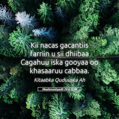 Picture 05 - Maahmaahyadii 26:6 SOM - Kii nacas gacantiis farriin u sii dhiibaa Cagahuu - Bible Verse Picture