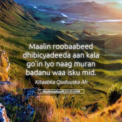 Picture 05 - Maahmaahyadii 27:15 SOM - Maalin roobaabeed dhibicyadeeda aan kala go'in - Bible Verse Picture