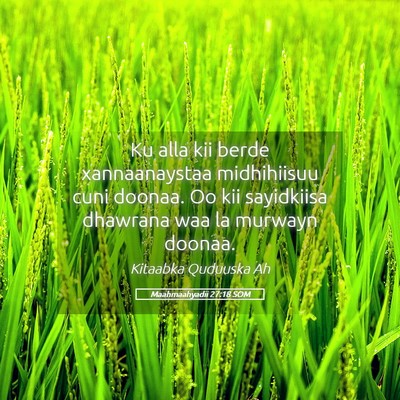 Picture 05 - Maahmaahyadii 27:18 SOM - Ku alla kii berde xannaanaystaa midhihiisuu cuni - Bible Verse Picture