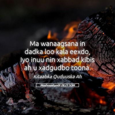 Picture 05 - Maahmaahyadii 28:21 SOM - Ma wanaagsana in dadka loo kala eexdo, Iyo inuu - Bible Verse Picture