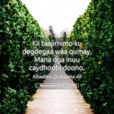 Picture 05 - Maahmaahyadii 28:22 SOM - Kii taajirnimo ku degdegaa waa qumay, Mana oga - Bible Verse Picture