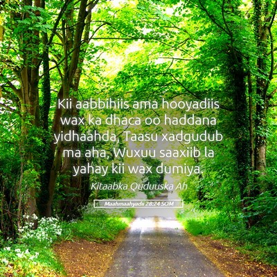 Picture 05 - Maahmaahyadii 28:24 SOM - Kii aabbihiis ama hooyadiis wax ka dhaca oo - Bible Verse Picture