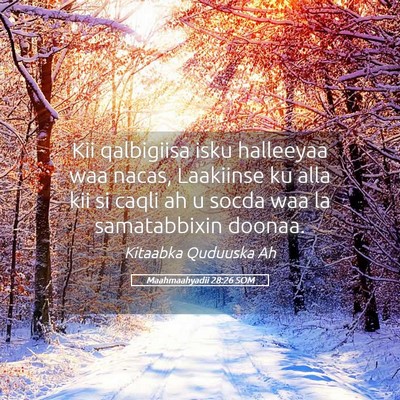 Picture 05 - Maahmaahyadii 28:26 SOM - Kii qalbigiisa isku halleeyaa waa nacas, - Bible Verse Picture
