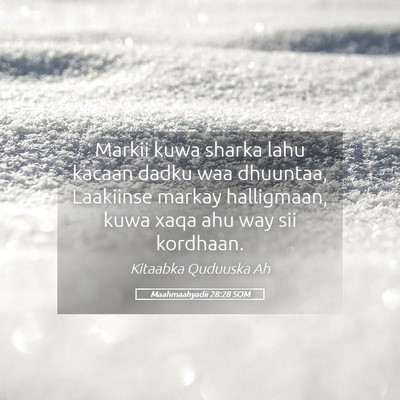 Picture 05 - Maahmaahyadii 28:28 SOM - Markii kuwa sharka lahu kacaan dadku waa - Bible Verse Picture