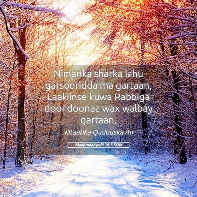 Picture 05 - Maahmaahyadii 28:5 SOM - Nimanka sharka lahu garsooridda ma gartaan, - Bible Verse Picture