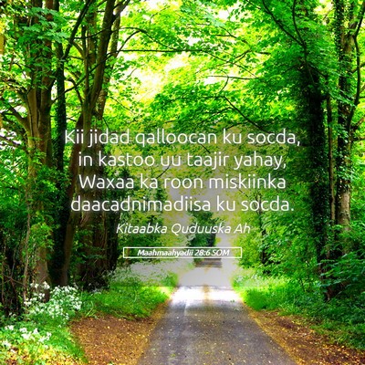 Picture 05 - Maahmaahyadii 28:6 SOM - Kii jidad qalloocan ku socda, in kastoo uu taajir - Bible Verse Picture