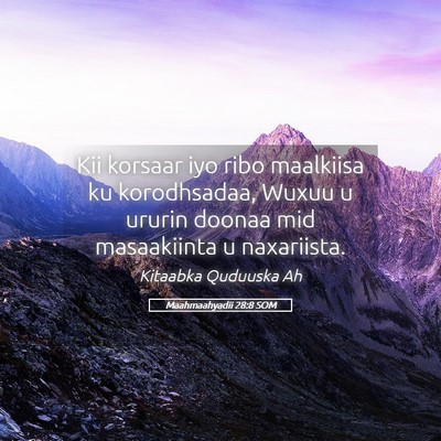 Picture 05 - Maahmaahyadii 28:8 SOM - Kii korsaar iyo ribo maalkiisa ku korodhsadaa, - Bible Verse Picture