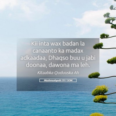 Picture 05 - Maahmaahyadii 29:1 SOM - Kii inta wax badan la canaanto ka madax adkaadaa, - Bible Verse Picture