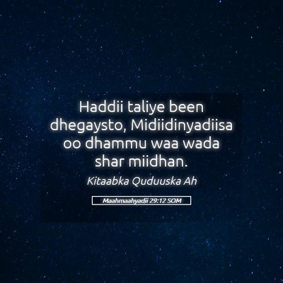 Picture 05 - Maahmaahyadii 29:12 SOM - Haddii taliye been dhegaysto, Midiidinyadiisa oo - Bible Verse Picture