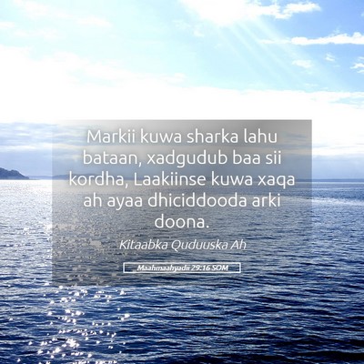 Picture 05 - Maahmaahyadii 29:16 SOM - Markii kuwa sharka lahu bataan, xadgudub baa sii - Bible Verse Picture