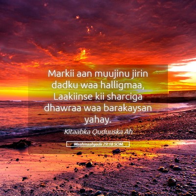 Picture 05 - Maahmaahyadii 29:18 SOM - Markii aan muujinu jirin dadku waa halligmaa, - Bible Verse Picture
