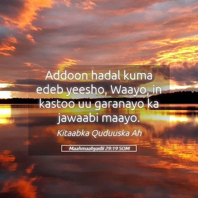 Picture 05 - Maahmaahyadii 29:19 SOM - Addoon hadal kuma edeb yeesho, Waayo, in kastoo - Bible Verse Picture