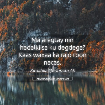 Picture 05 - Maahmaahyadii 29:20 SOM - Ma aragtay nin hadalkiisa ku degdega? Kaas waxaa - Bible Verse Picture